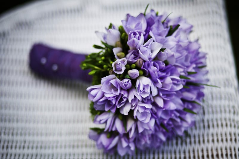 Colorful Flowers